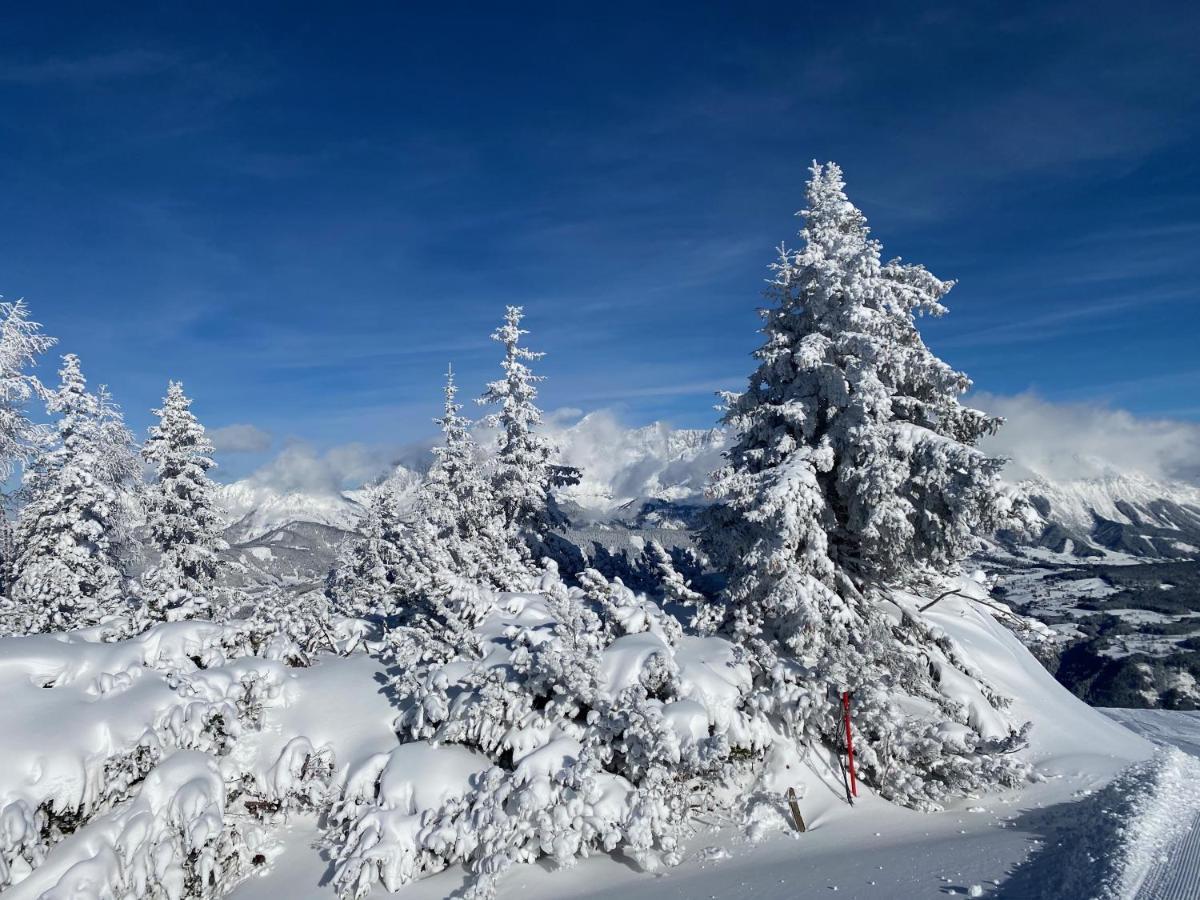 Chalet Reiteralm- Ski Inski Out Schladming Exteriör bild