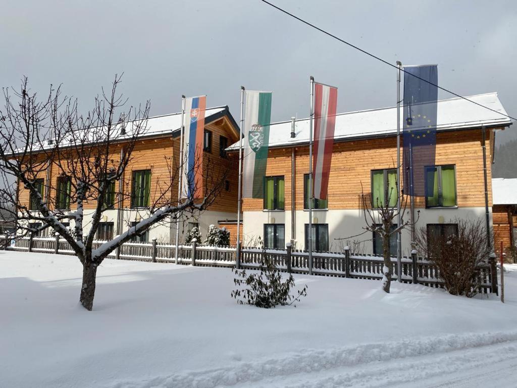 Chalet Reiteralm- Ski Inski Out Schladming Exteriör bild